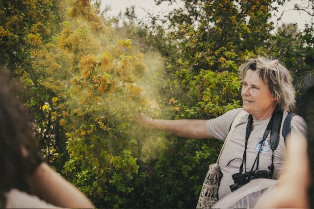 véronique © angélique Ghersy