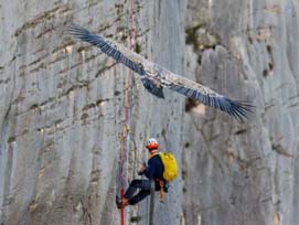 © karime smaoui www.terreimages.com