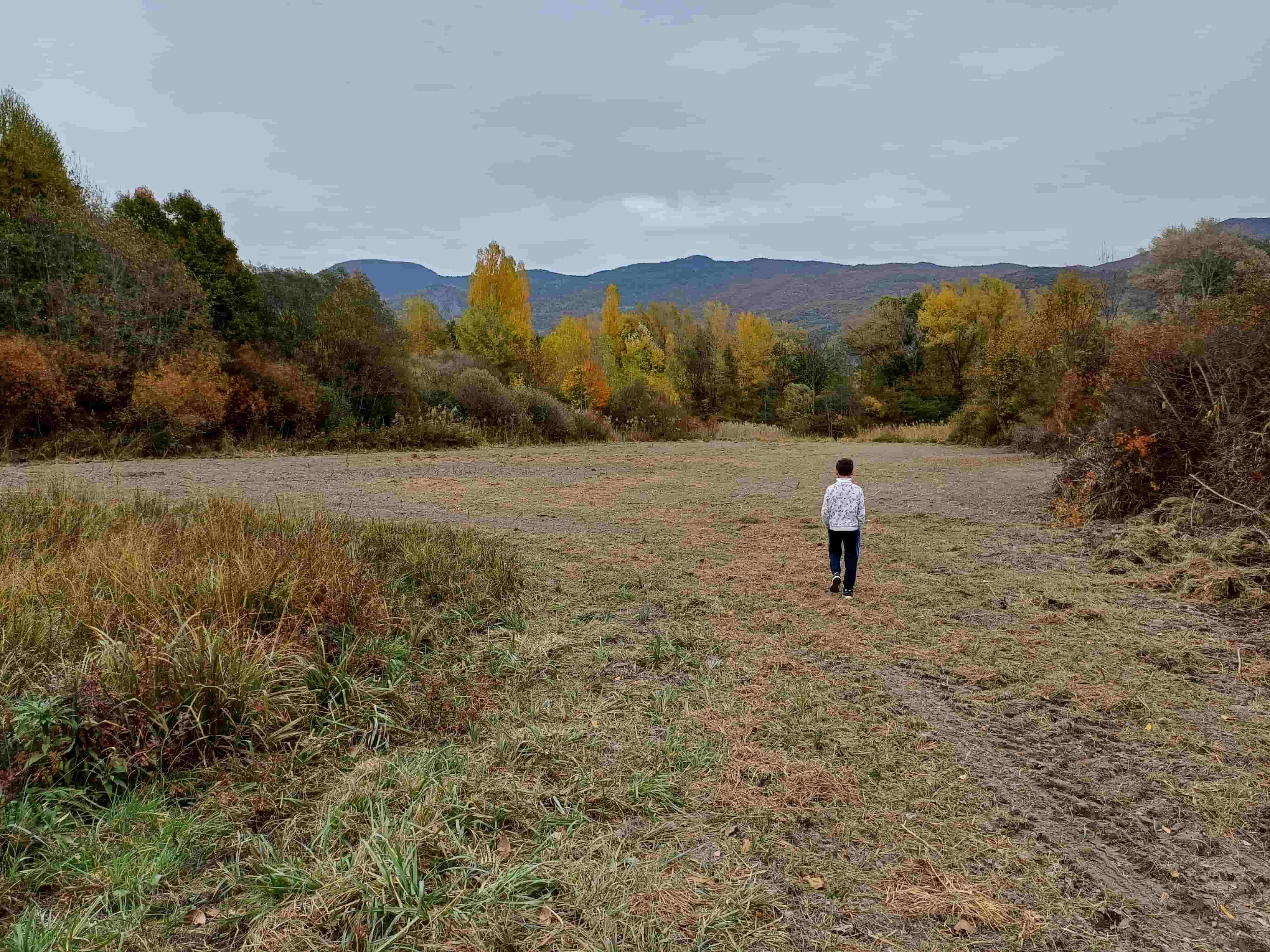 prairie semée © LPO PACA