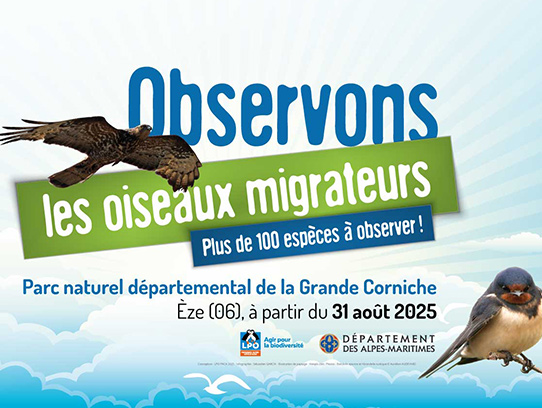 Camp de migration du 28 septembre © LPO PACA 