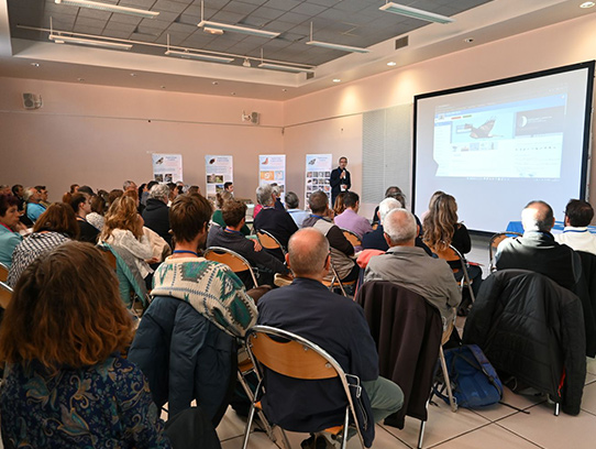 Rencontre Faune-Paca - Catherine Gay