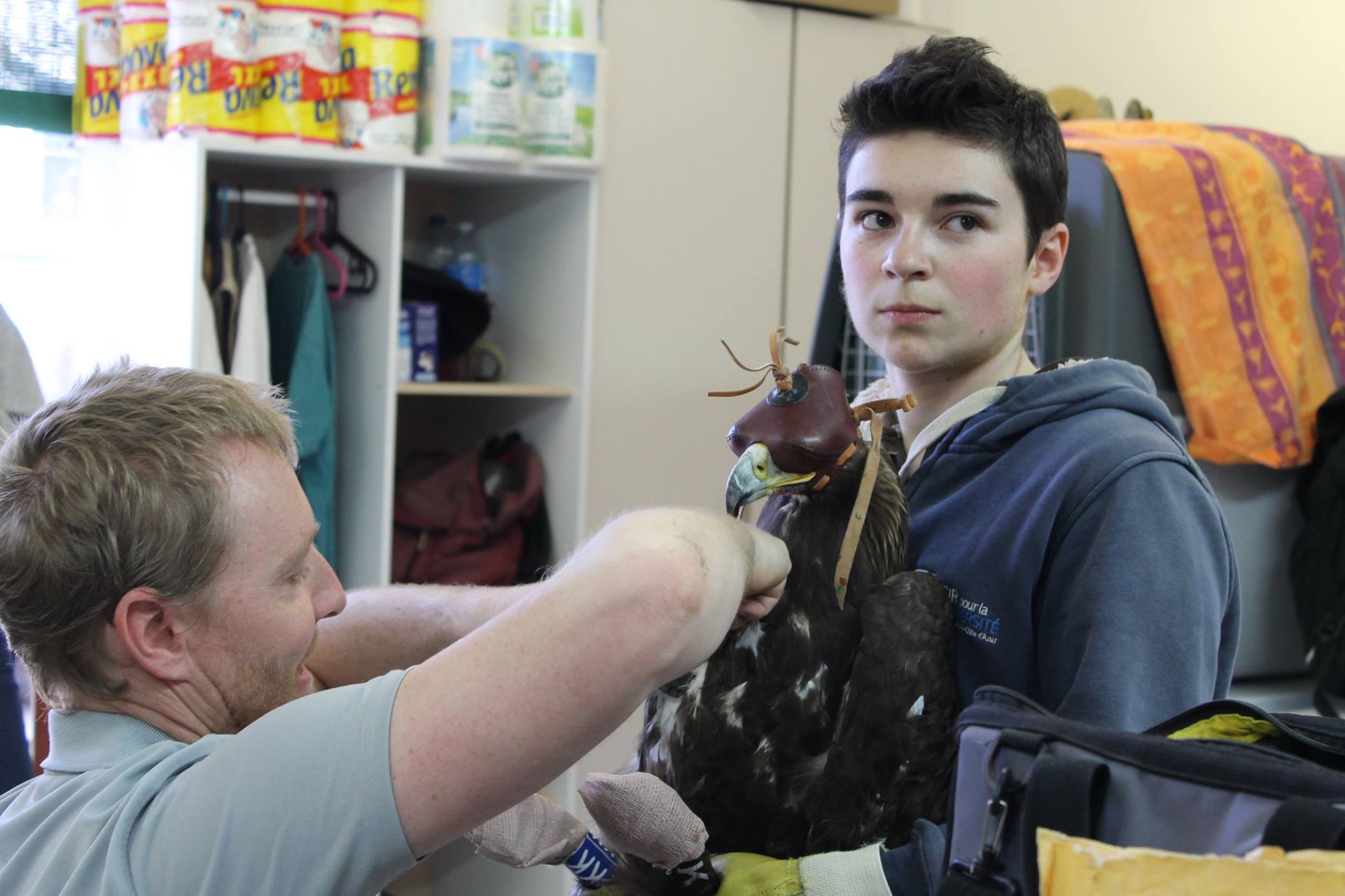 Pose de la balise GPS par Christian Itty (2018) ©Johana Antonelli