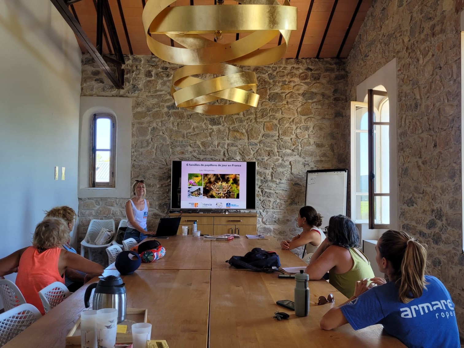 Devine qui papillonne au Jardin 2025 : encore un bilan positif !