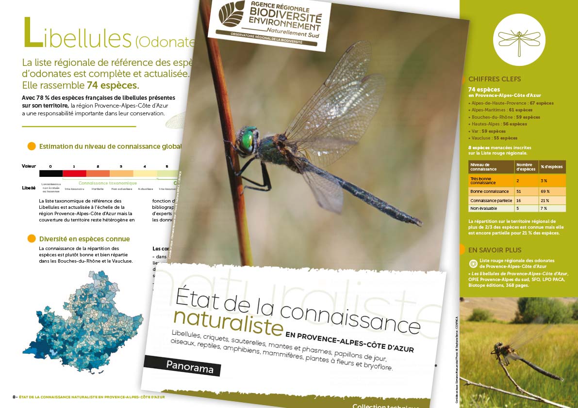 Quel est l'état de la connaissance naturaliste en Provence-Alpes-Côte d’Azur ?