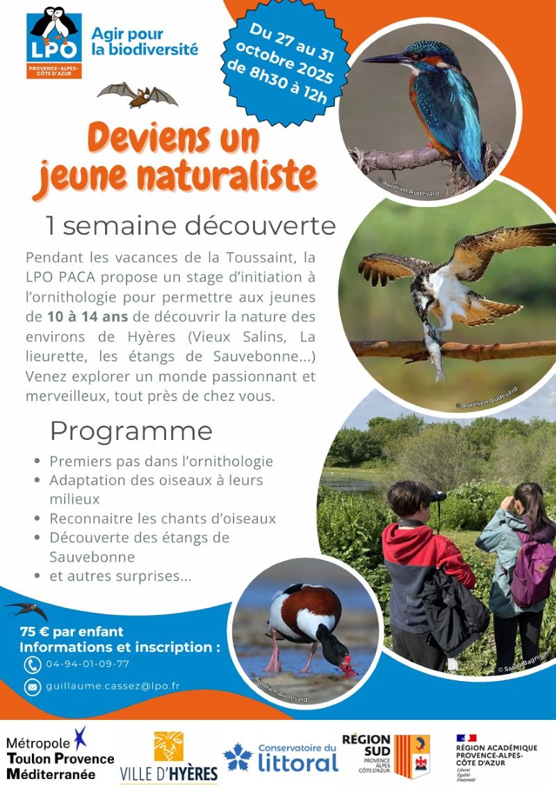 club nature toussaint 2025