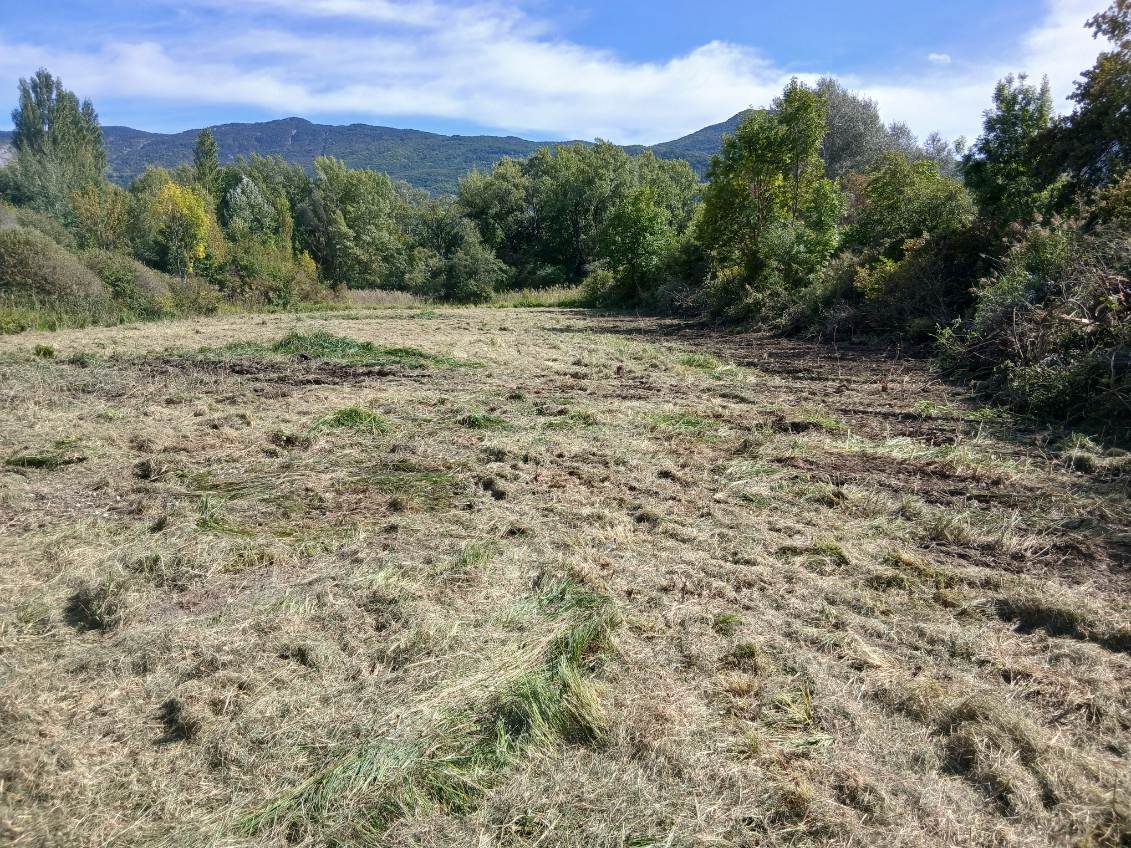 Dessouchage et broyage de la zone © Charbonnier Agri TP