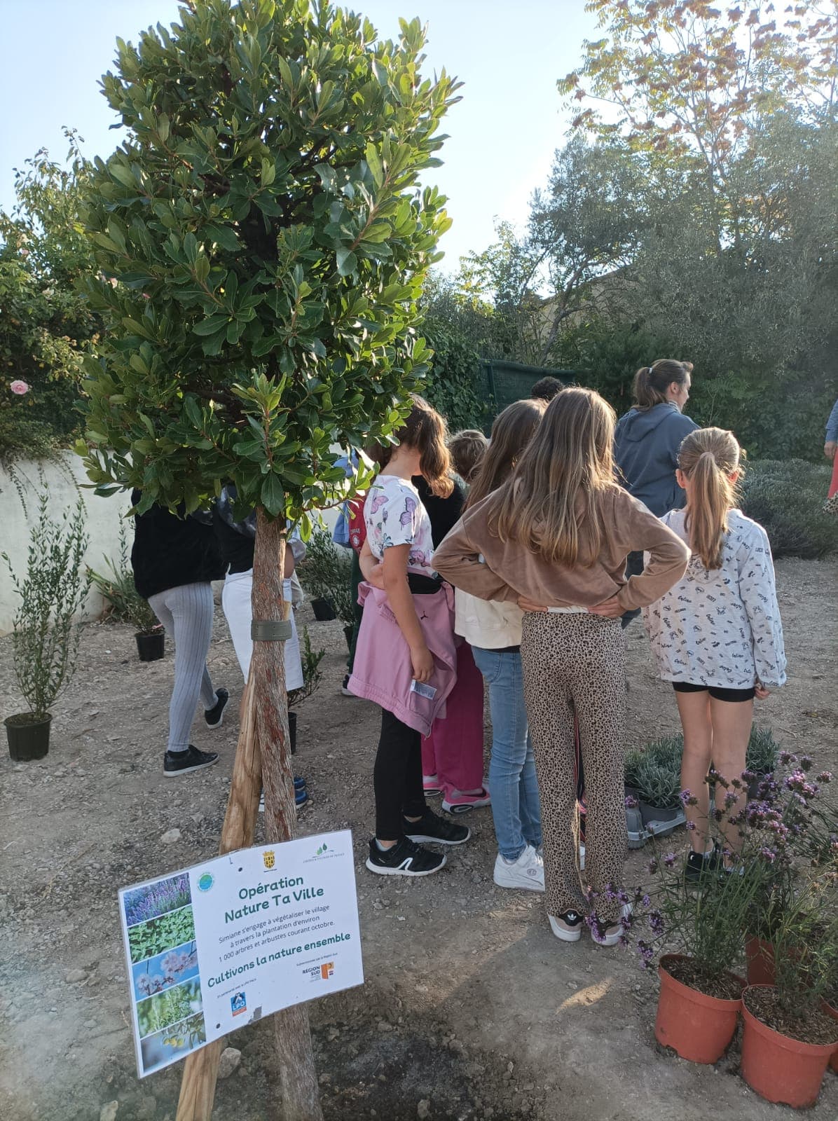 Plantation Simiane (c) Chloé Piccinin