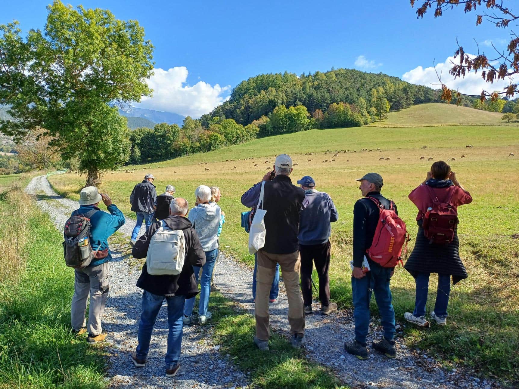 Sensibilisation aux oiseaux © LPO PACA
