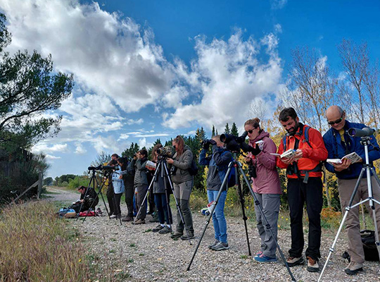 École de l’ornithologie intensif niveau 1