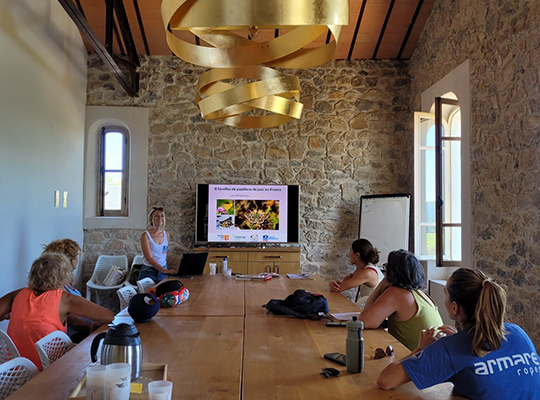 Devine qui papillonne au Jardin 2025 : encore un bilan positif !