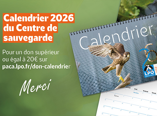 don-calendrier