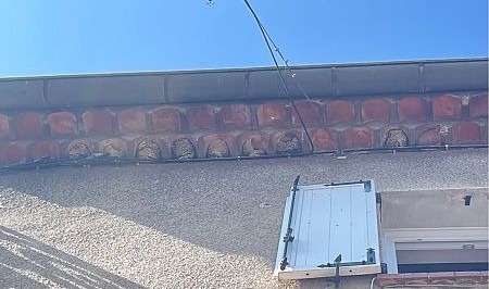 Nids d'Hirondelles de fenêtre à Pégomas