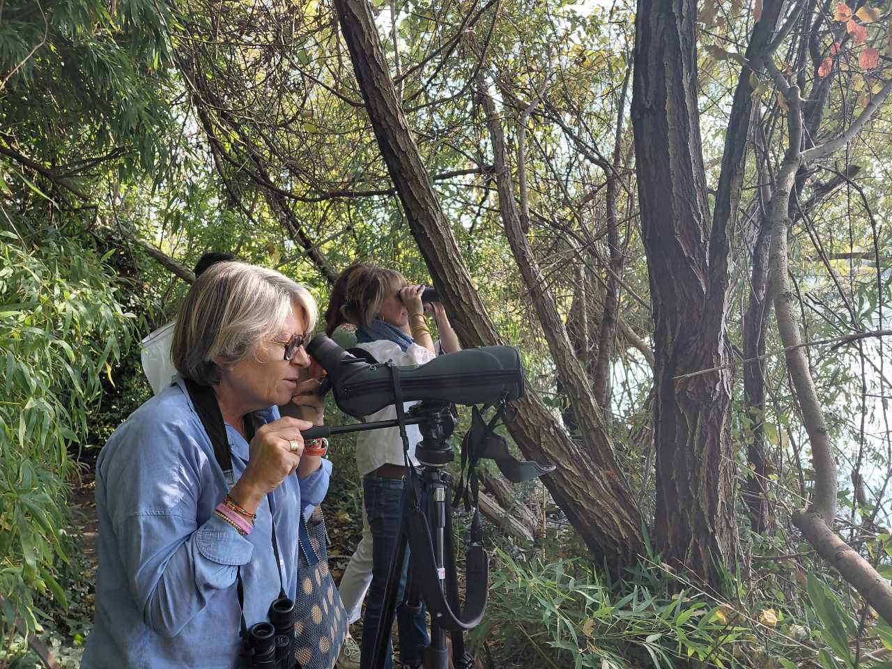 Participants en observation sur le terrain