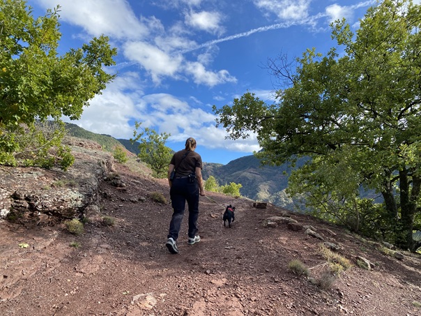 rnrgd chien tenu en laise sur rn tatiana aubry bd