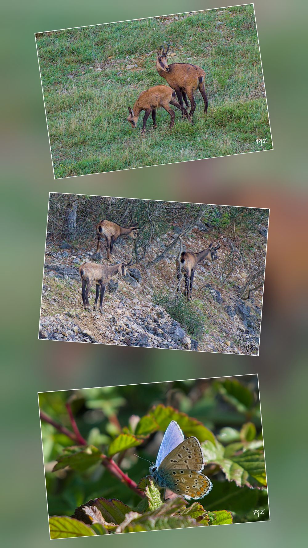 Sortie la Roche Amere - François-Marie Zwank