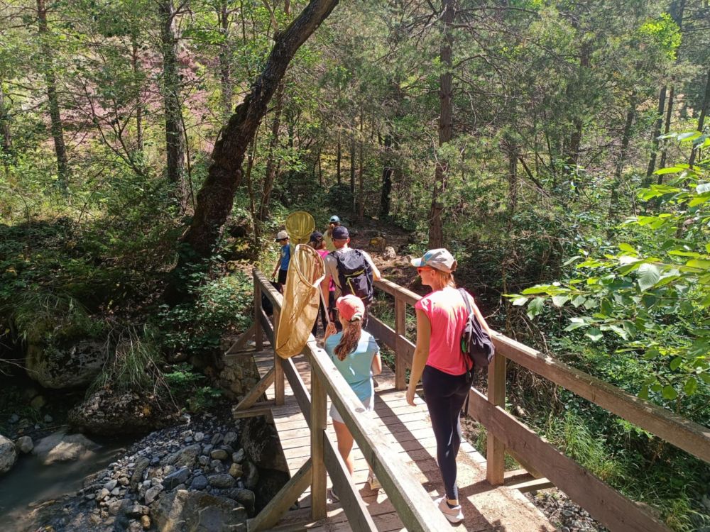 Sortie papillons juillet 2025 © LPO PACA