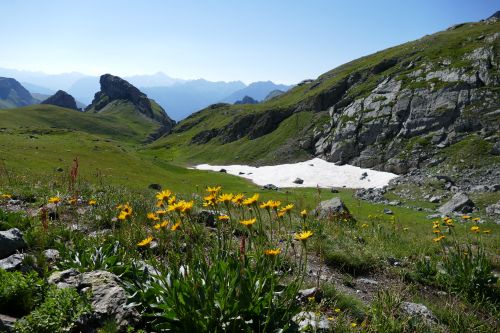 RNR des Partias © Benjamin KABOUCHE