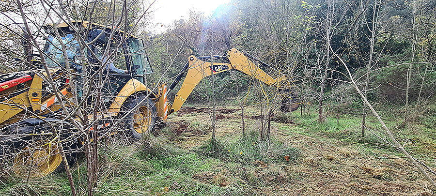 Chantier Aristoloches (c) Marion Fouchard