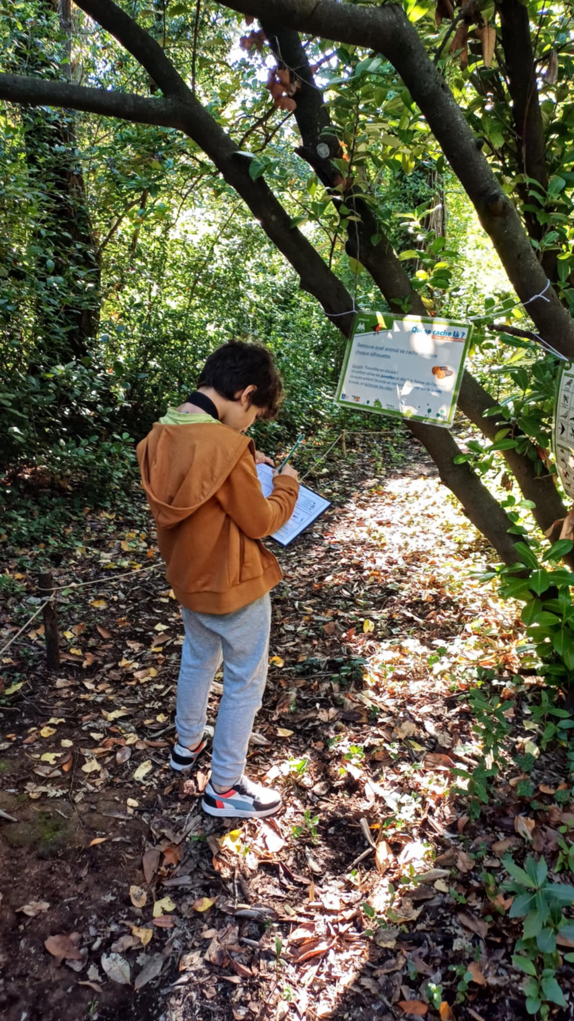 39e64880 7cd6 4d1f ba58 676fbcd7d854