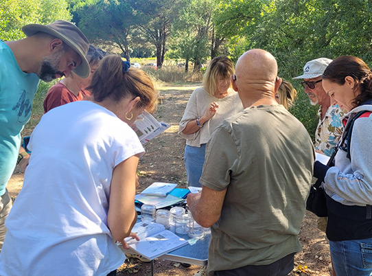 Initiation à l'identification des libellules © Line Conforti