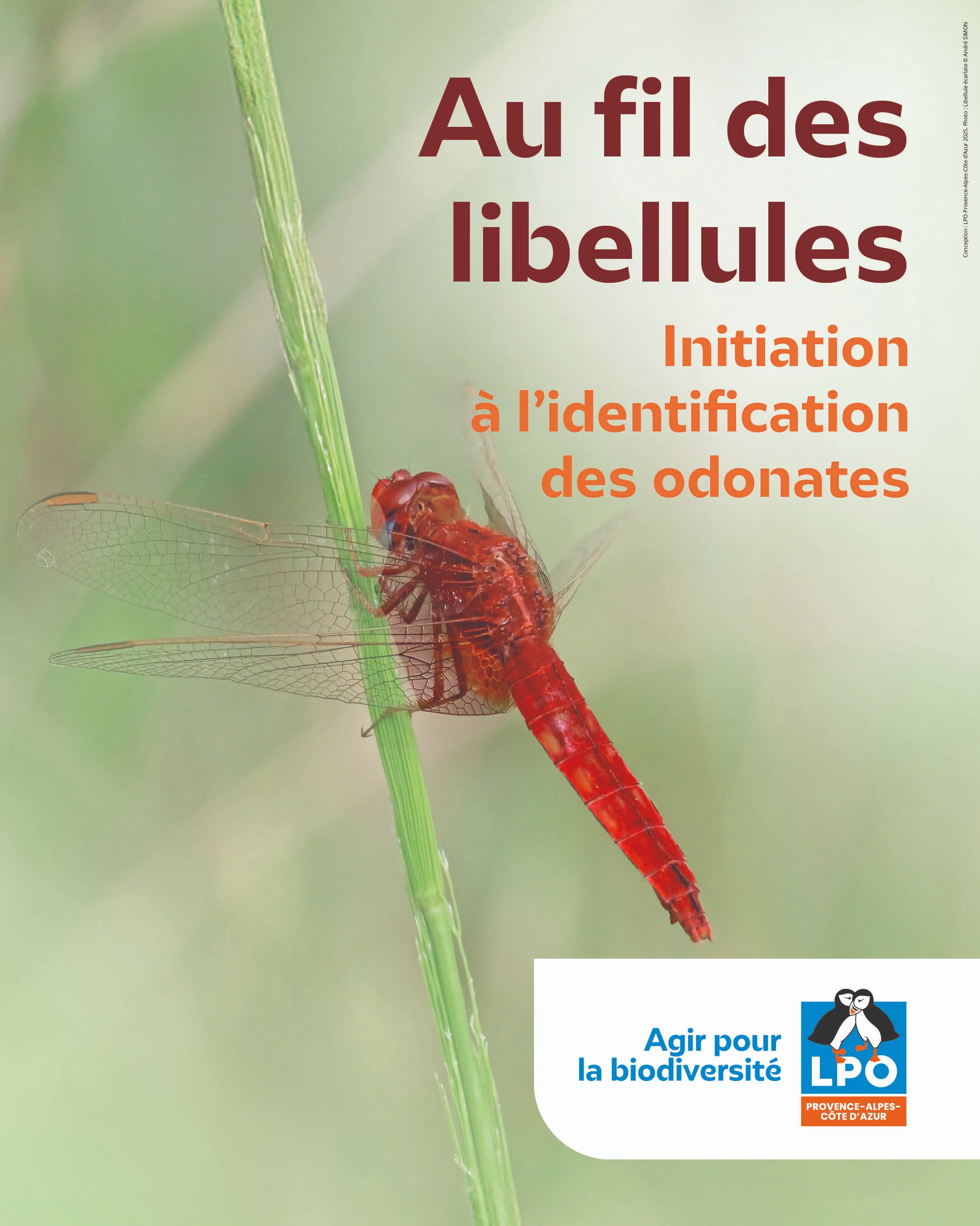 Affiche AFL © LPO PACA