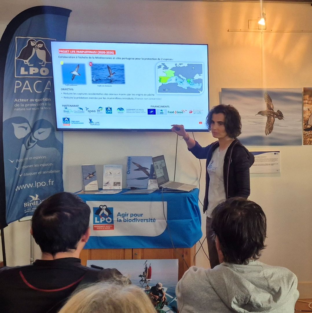 Conférence espèces de sensible © Cécile G.