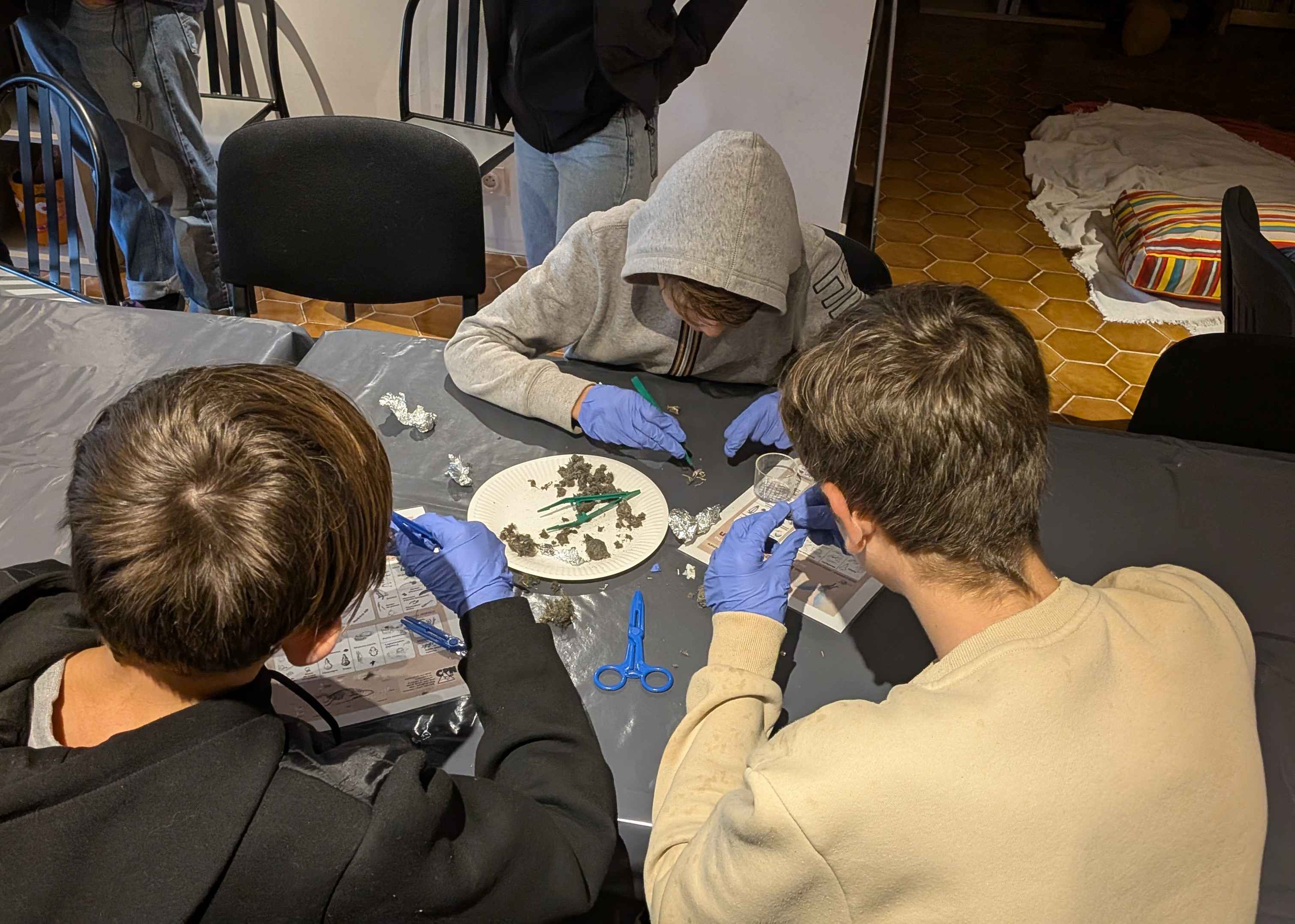 Décortication de pelotes de réjection  © Line Conforti