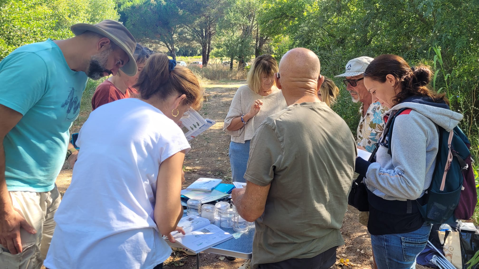 Initiation à l'identification des libellules © Line Conforti