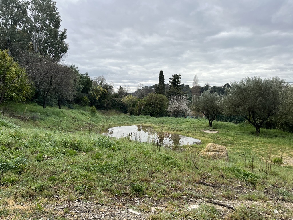 Zone humide, Pra de Julian_LPOPACA