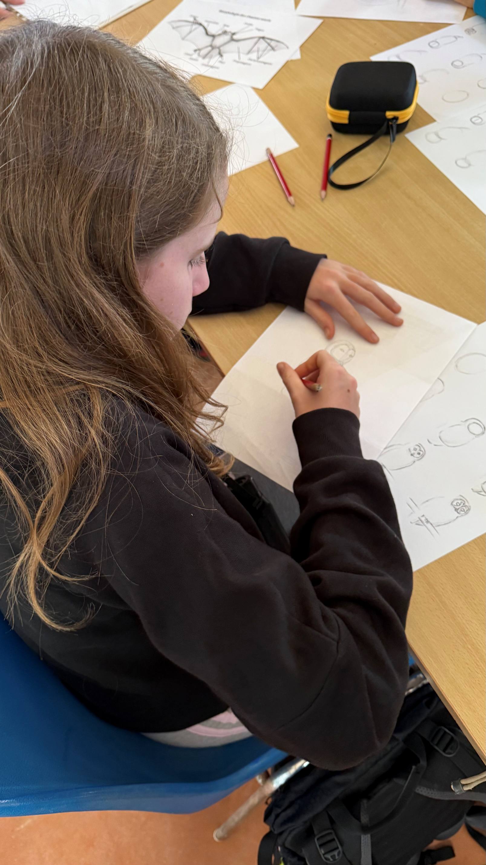 Dessin naturaliste © Sarah Bagnis