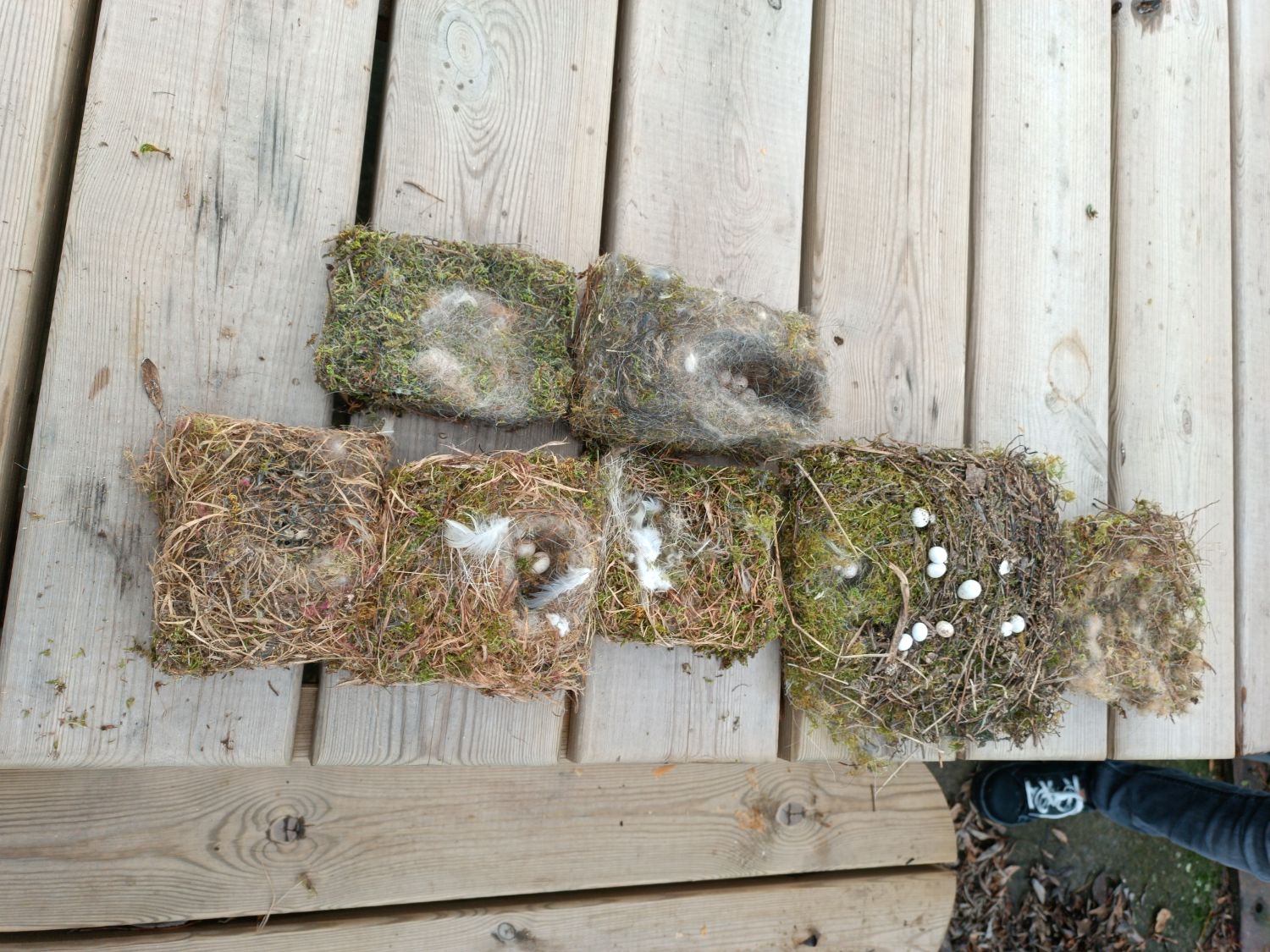 refuge lpo ipsen isle sur sorgue a johanet 2