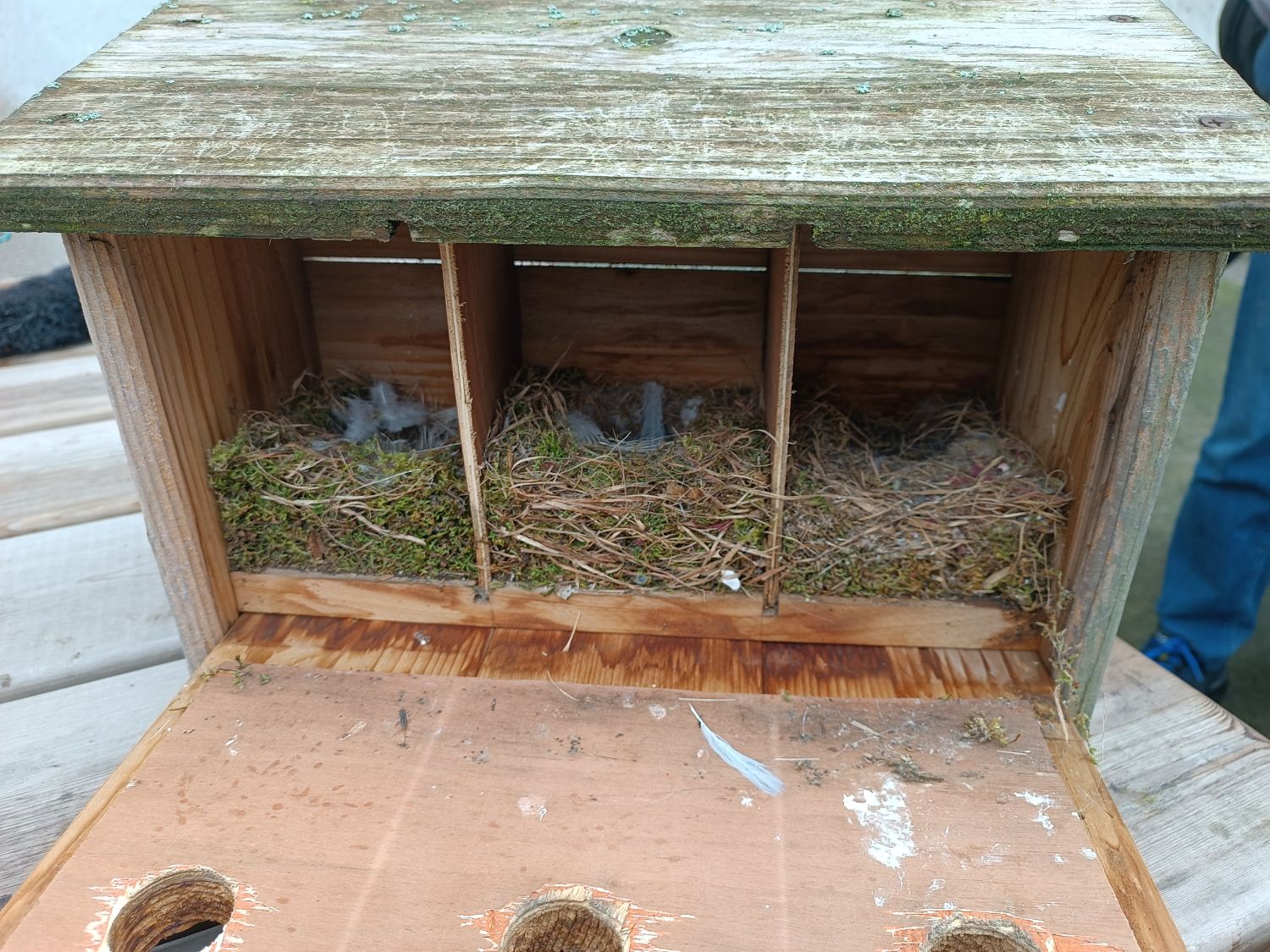 refuge lpo ipsen isle sur sorgue a johanet 5