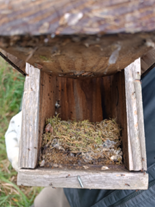 suivi nichoirs smerv c aurelie johanet 2