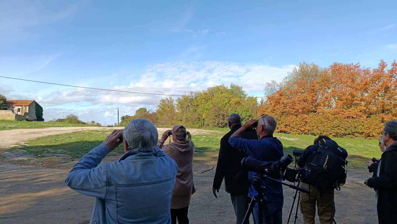 Élus en observation sur le terrain ©Fanny Peger