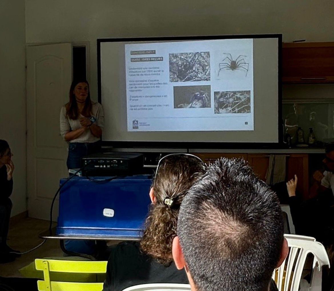 présentation sur les araignées