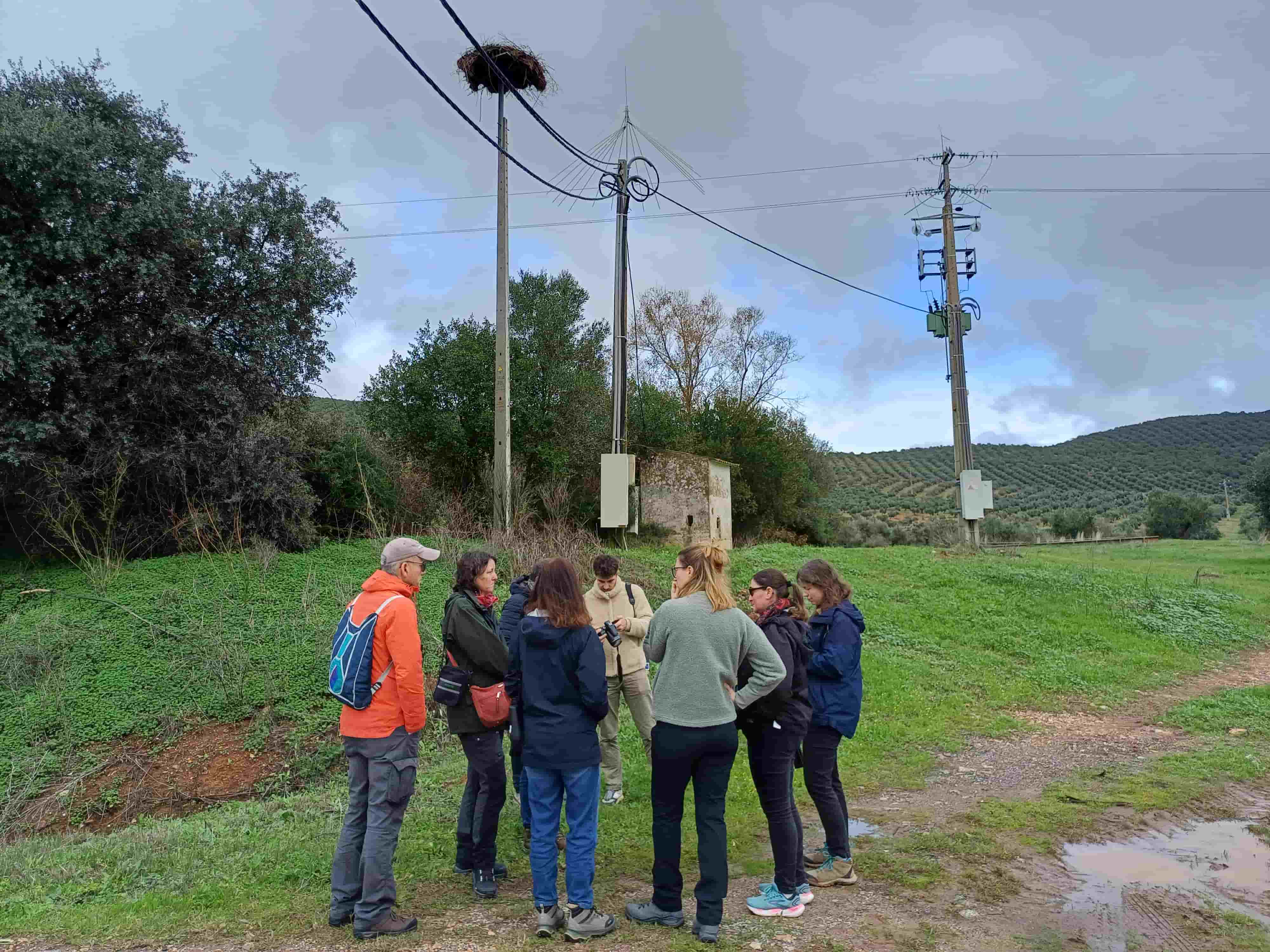 visite plateforme à cigognes LPO PACA