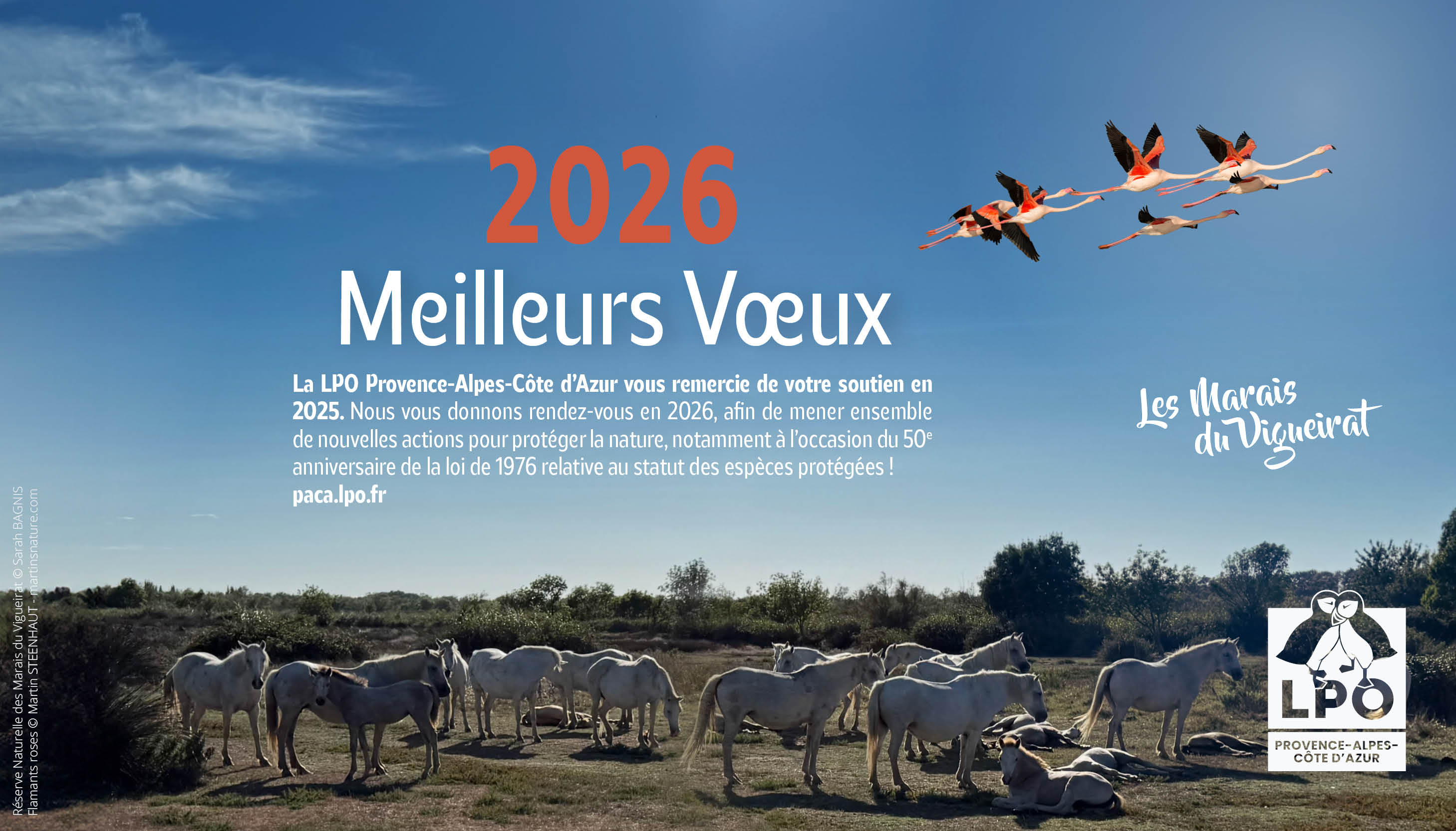 Réserve Naturelle des Marais du Vigueirat © Sarah Bagnis Flamants roses © Martin Steenhaut - martinsnature.com