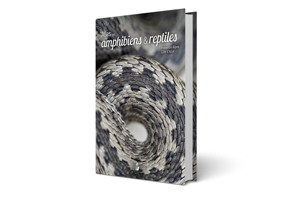 Amphibiens et reptiles de Provence-Alpes-Côte d'Azur