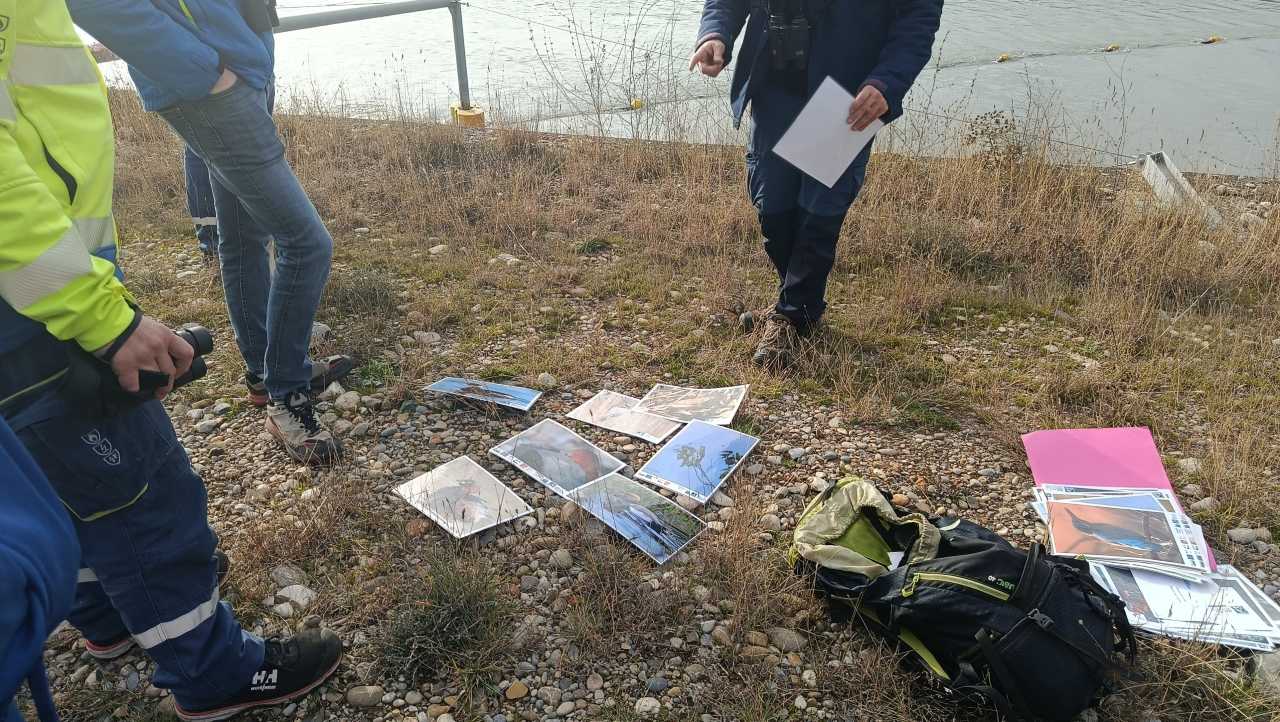 Présentation des espèces présentes sur le site ©Fanny Peger Présentation des espèces présentes sur le site