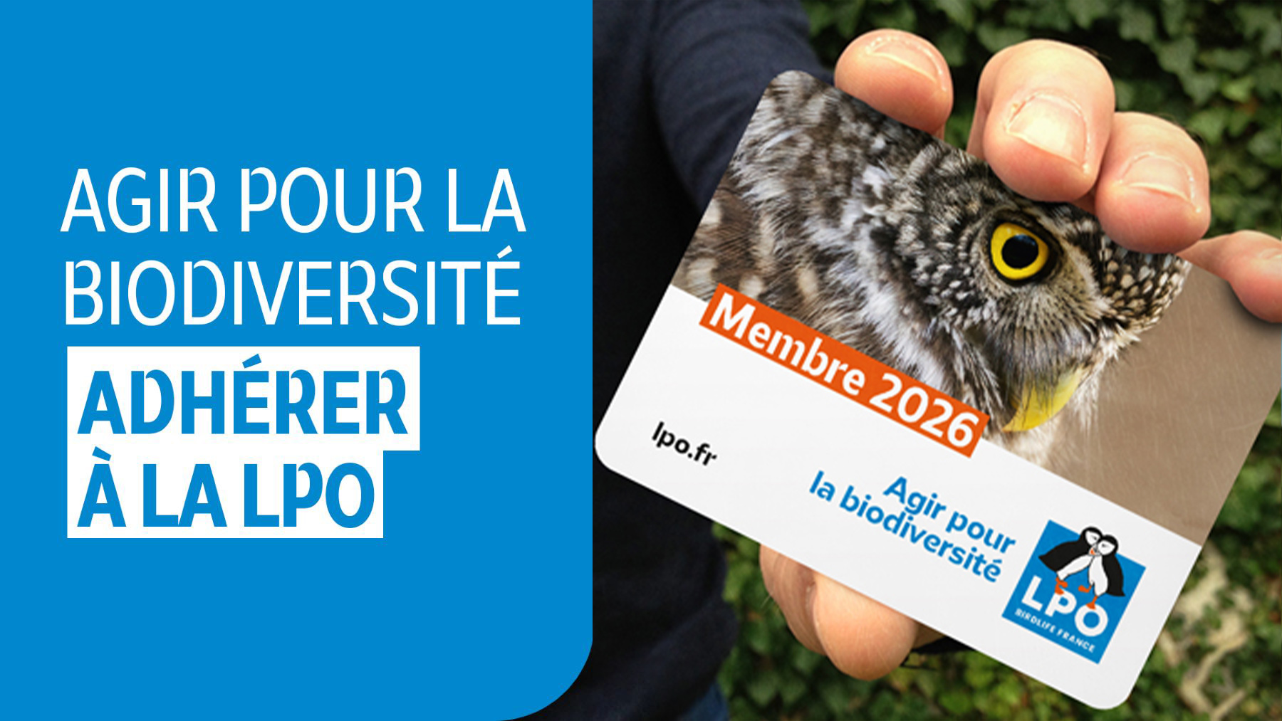 carte adhèrent LPO 2026