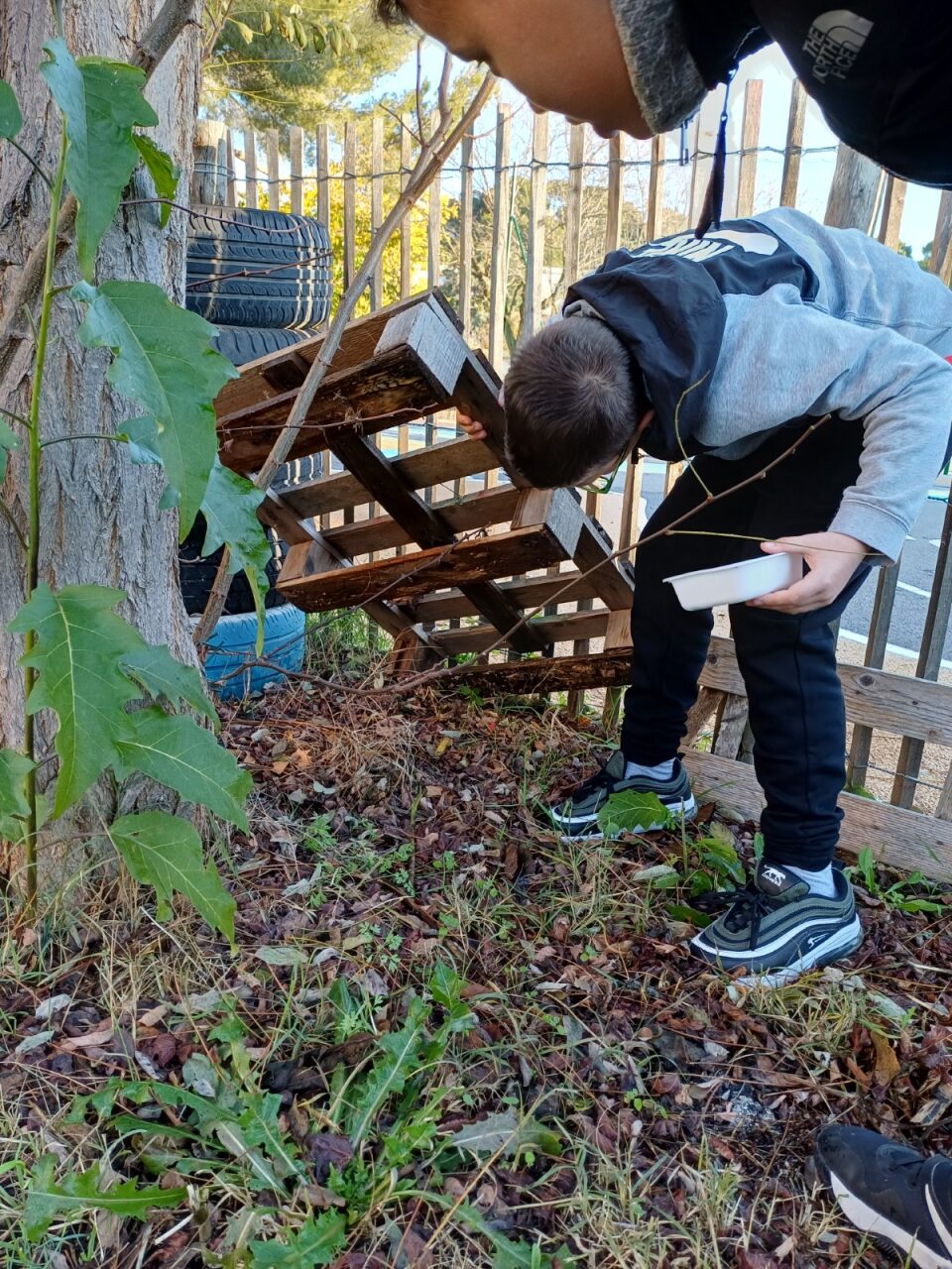 Intervention escargot extérieur ©Elise Cougnenc
