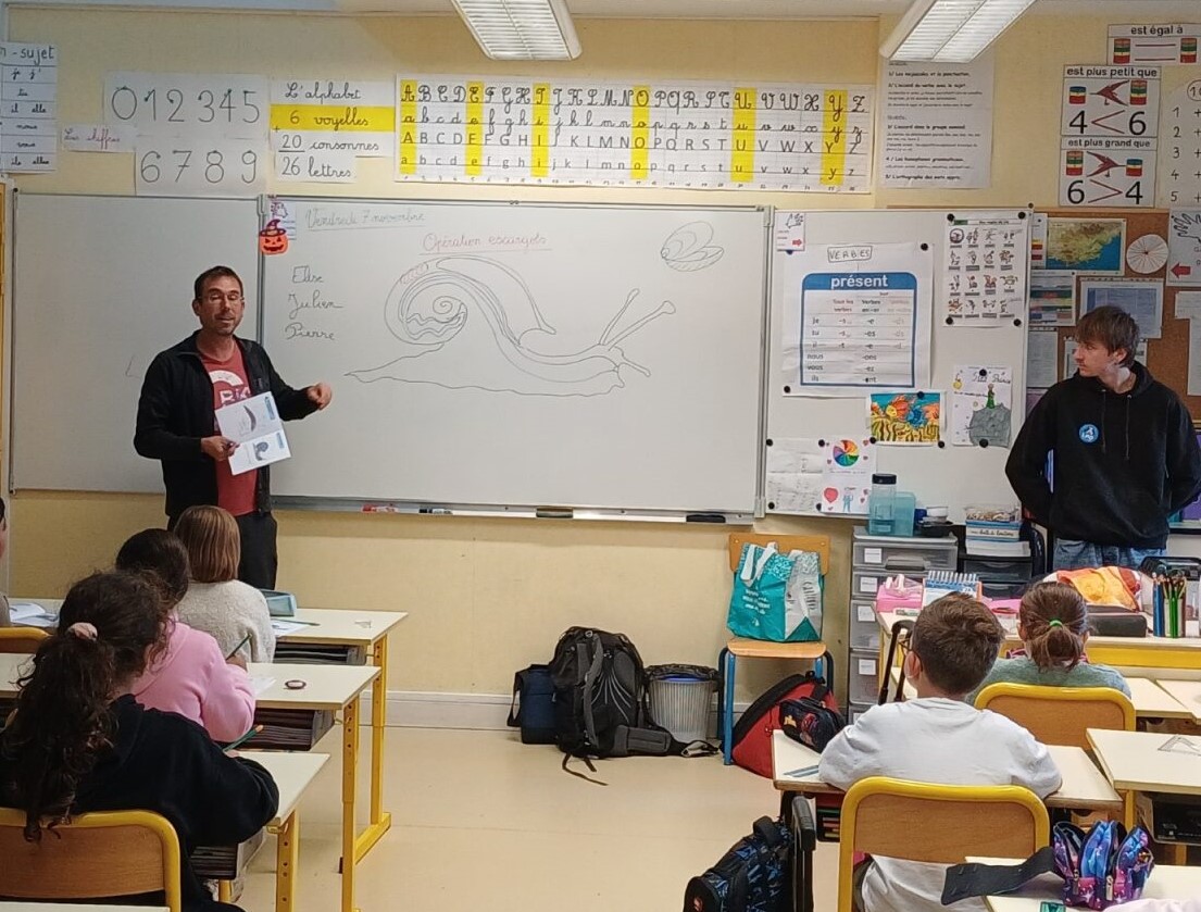 Intervention escargot en classe - Elise Cougnenc