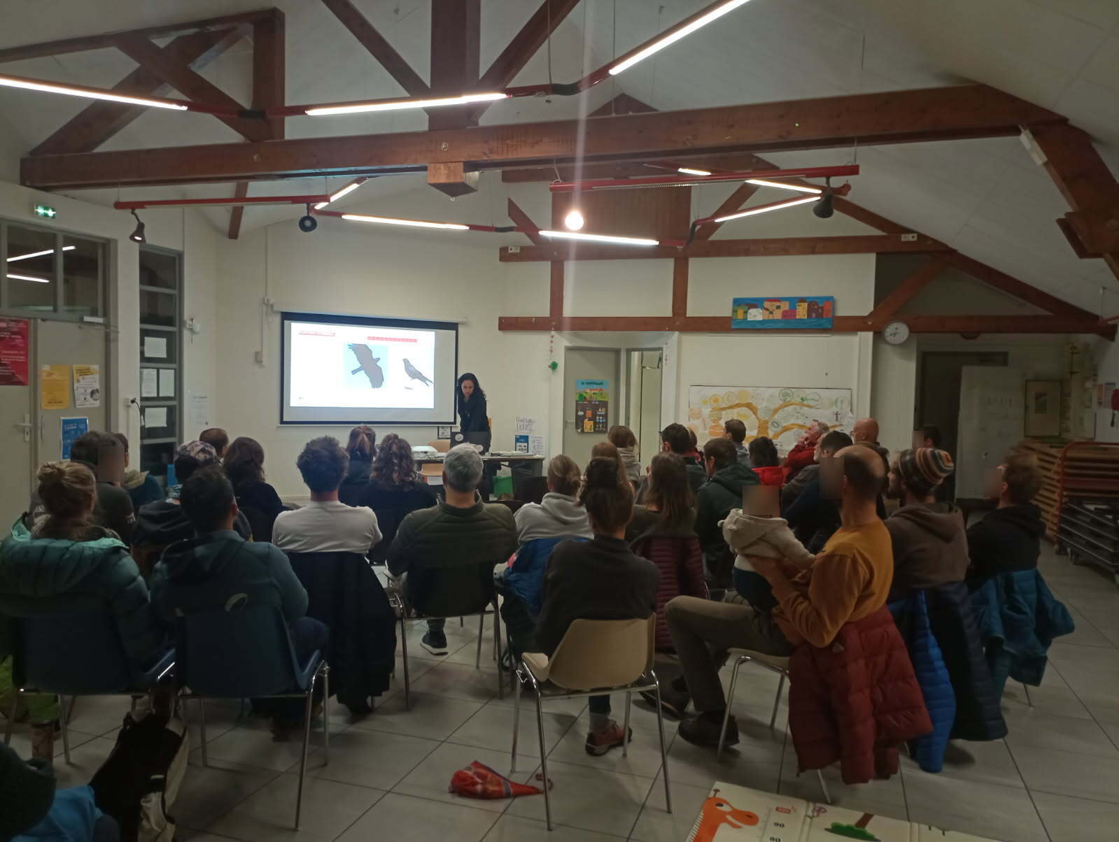 Présentation des oiseaux © LPO PACA Présentation des oiseaux © LPO PACA