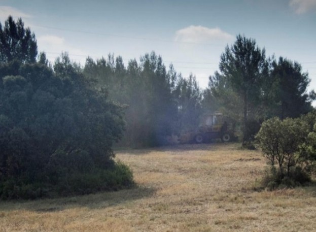 Opération de débroussaillage en juin (c) O.Hameau