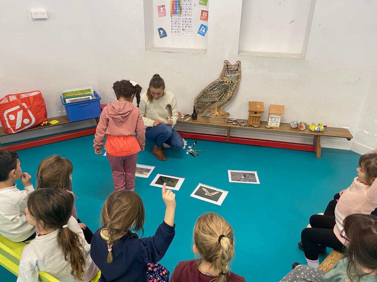 img 20251127 wa0007 1