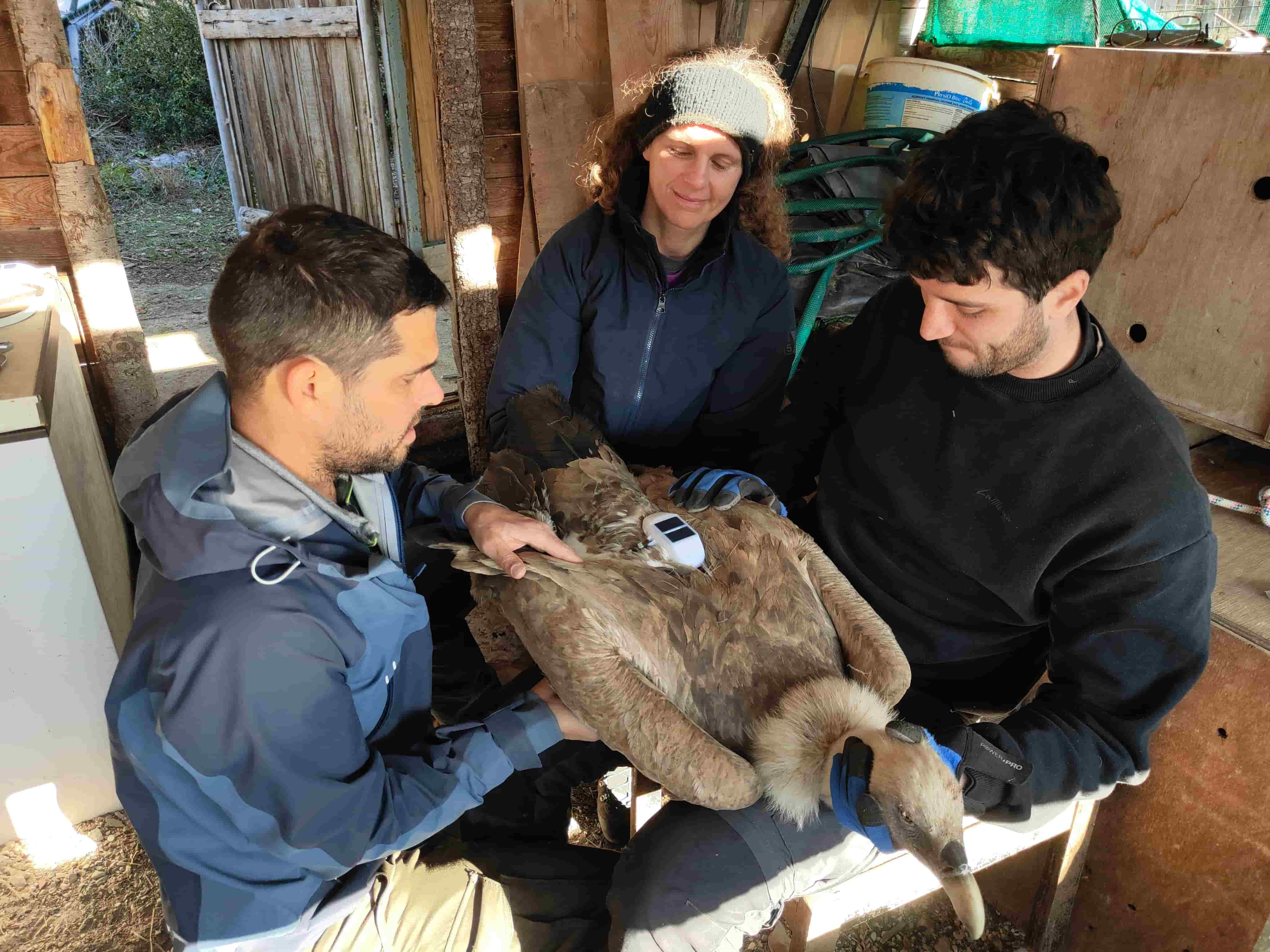 pose de balise © Maxime Raux pose de balise © Maxime Raux