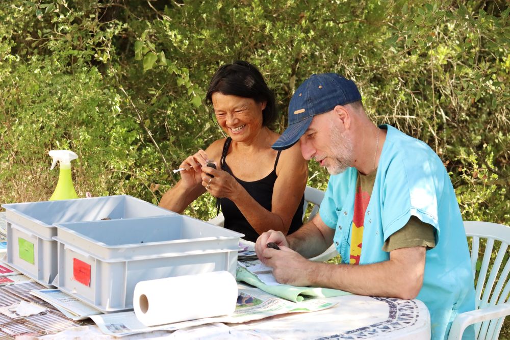 Delphine et Alain - secteur martinets © Anaïs Thomas Delphine et Alain - secteur martinets © Anaïs Thomas