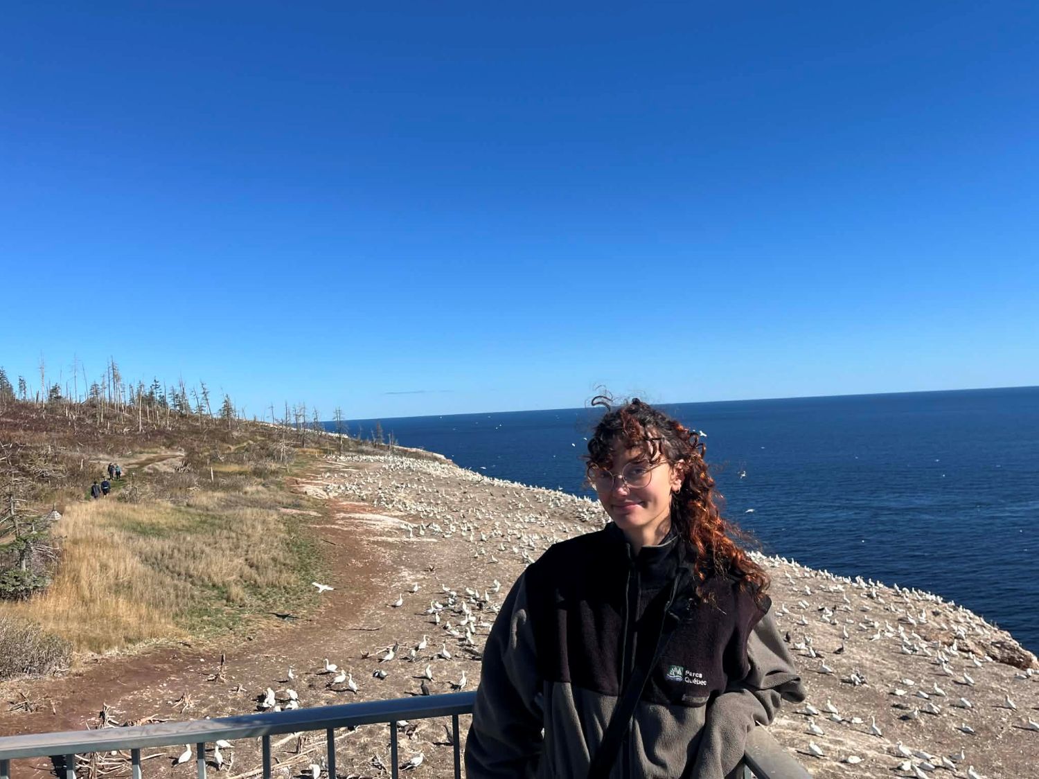 Laelys ©Thierry Grandmont