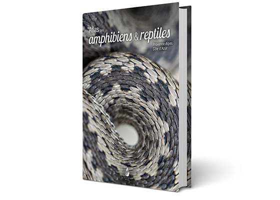 Amphibiens et reptiles de Provence-Alpes-Côte d'Azur