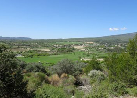 haies et plaine agricole vues depuis litineraire lpo paca